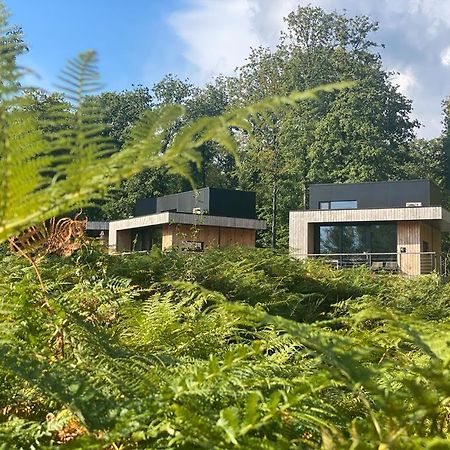 Forest Cube Oignies Εξωτερικό φωτογραφία