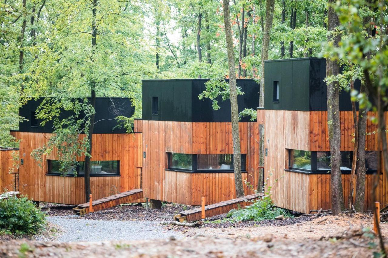 Forest Cube Oignies Εξωτερικό φωτογραφία