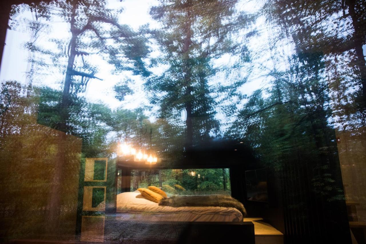 Forest Cube Oignies Εξωτερικό φωτογραφία