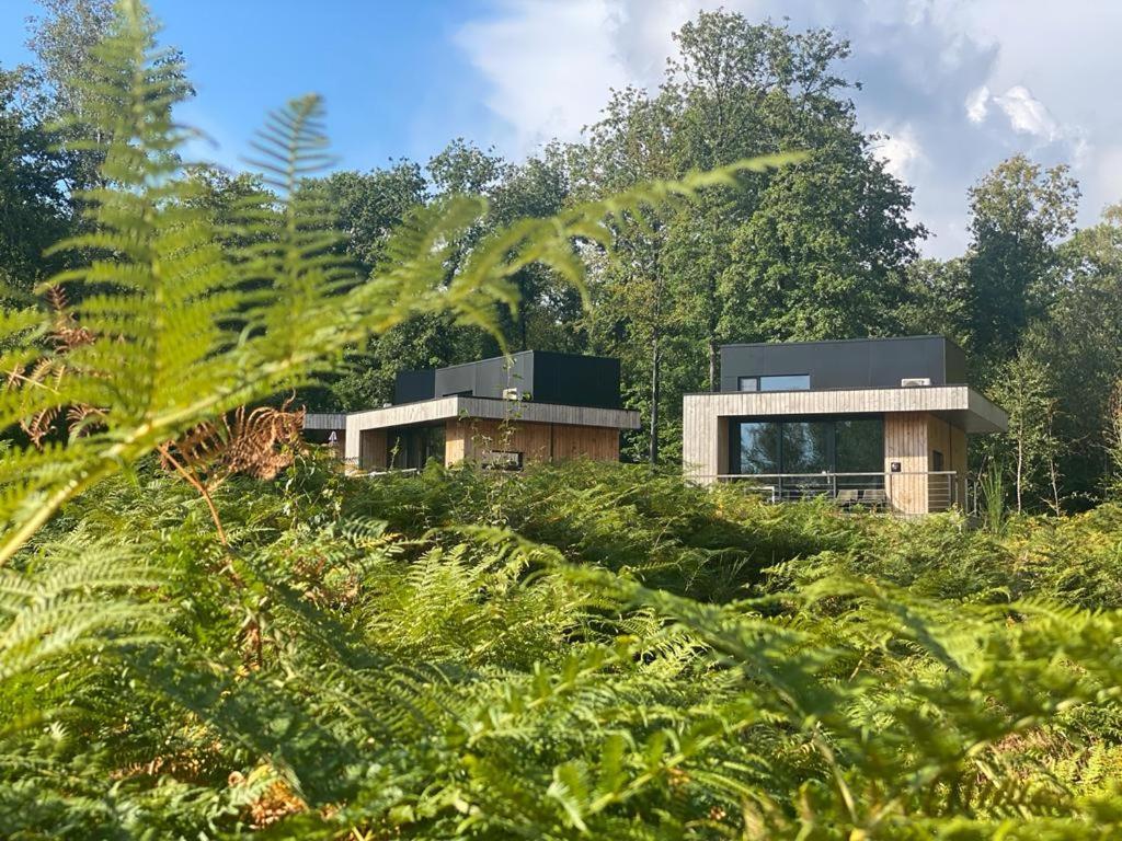 Forest Cube Oignies Εξωτερικό φωτογραφία